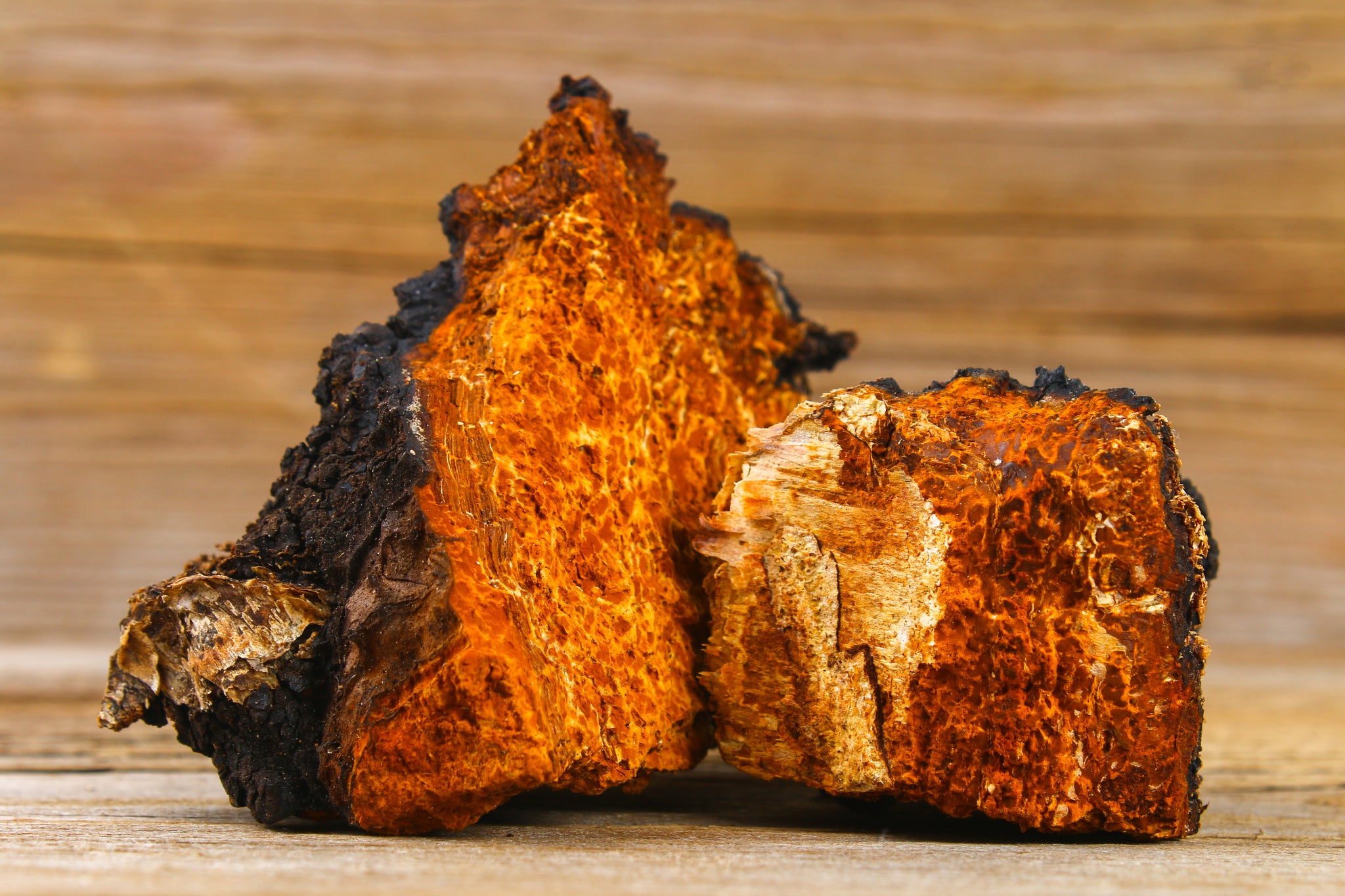 Chago Root Learn – Ancient Roots